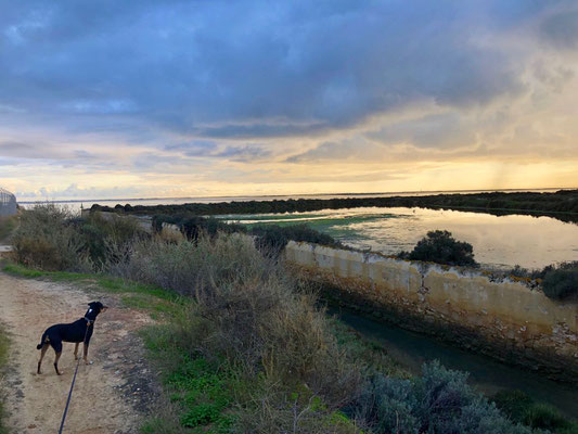 Olhao, Algarve, Portugal