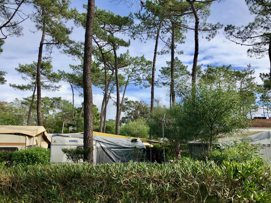 Camping Milfontes
