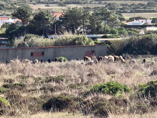 Sagres, Faro, Algarve, Portugal