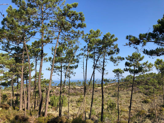 Praia Gale Melides Setubal Alentejo Portugal