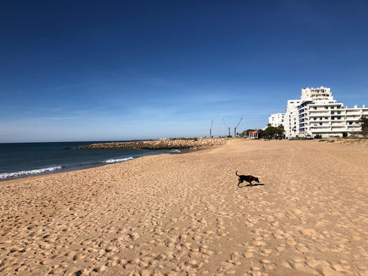 Quarteira Algarve Portugal