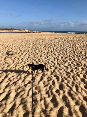 Armacao de Pera, Faro, Algarve, Portugal