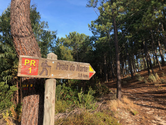 Campingplatz Vale Paraiso Natur Park Nazare Portugal