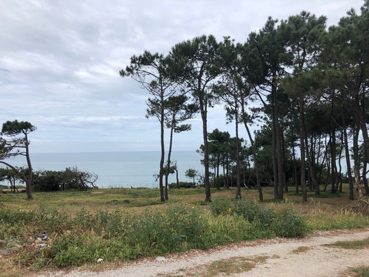 Campingplatz Camping Park Sesimbra Forte de Cavalo Municipal Lissabon Portugal