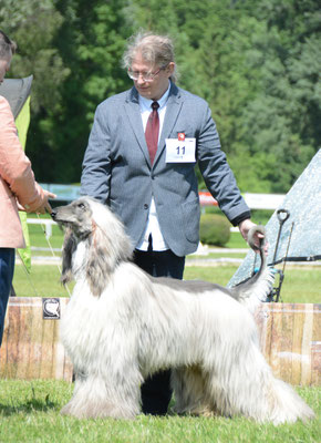 Ru_ZK_v1_Harry Houdini Gandamak Slovakia