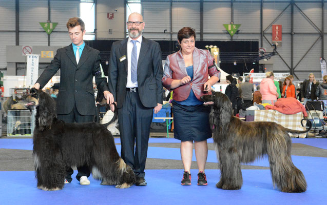 Hündinnen_CACIB_Way Up Amelie Polaine_ResCACIB_Kouros Tintarella di Luna