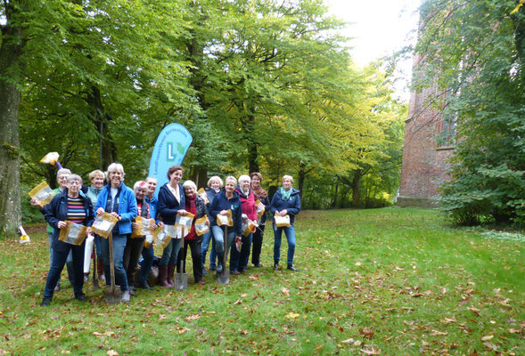 Bordesholmer LandFrauen, Krokusse pflanzen im Oktober 2021