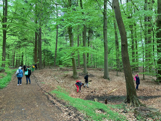 Bordesholmer LandFrauen, Waldbaden im Mai 2023