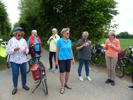 Bordesholmer LandFrauen, Radtour OV Bissee im Juni 2022