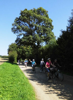 Bordesholmer LandFrauen, Radtour Bordesholm IV im September 2021