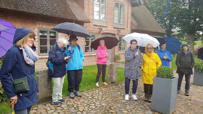 Bordesholmer LandFrauen, Skulpturenführung in Bissee, August 2021