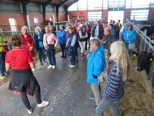 Bordesholmer LandFrauen besuchen den Wagyu-Hof in Negenharrie, Juli 2021