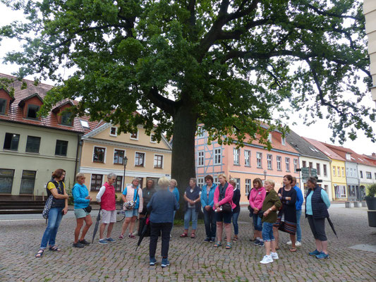 Bordesholmer LandFrauen, Radtour an der Müritz, 3. Tag