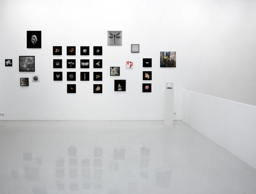 selection, Installation, Galerie Voss, 2022