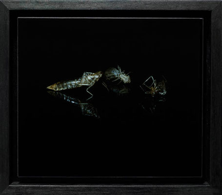 Michael Koch: Bolero, 2008, C-Print, Diasec, gerahmt/Schattenfuge, 18cm x 20cm