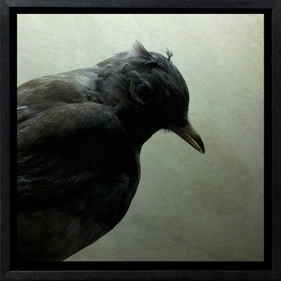 Michael Koch: Tanita, 2011, C-Print, Diasec, gerahmt/Schattenfuge, from: Elysion