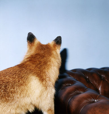 Michael Koch: Refur, 2006, C-Print, Diasec, from: epigonia