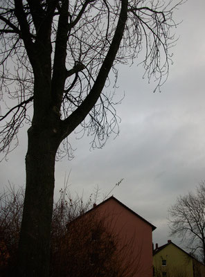 Michael Koch: Dorf (gelb-orange) 2014, C-Print