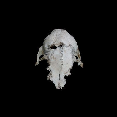 Michael Koch: Valeur I, 2014, C-Print, Diasec