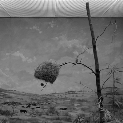 Michael Koch: Nestbau, 2018, Lambdaprint, Diasec
