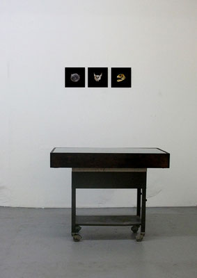 Michael Koch: Visindi, 2016, mixed media installation