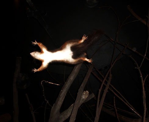Michael Koch: Absprung, 2015, C-Print, Diasec