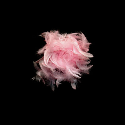 Michael Koch: Allure 2013, C-Print, Diasec