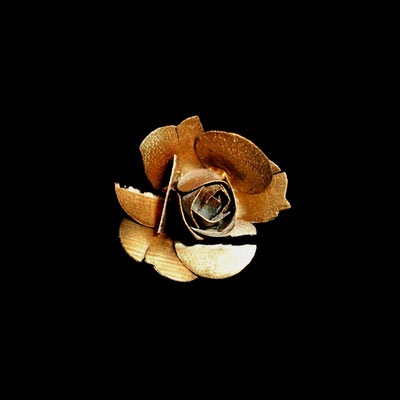 Michael Koch: Au, 2012, C-Print, Diasec