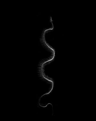 Michael Koch: Sloengur, 2017, C-Print, Diasec