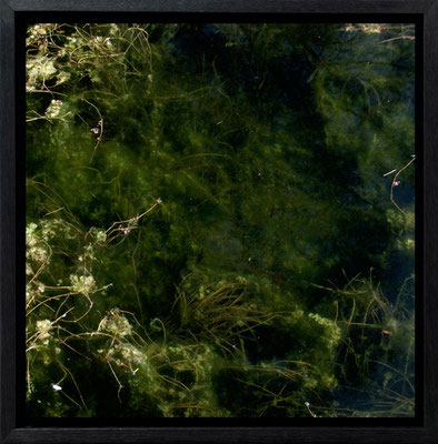 Michael Koch: Exodus, 2011, C-Print, Diasec, gerahmt/Schattenfuge, from: arena