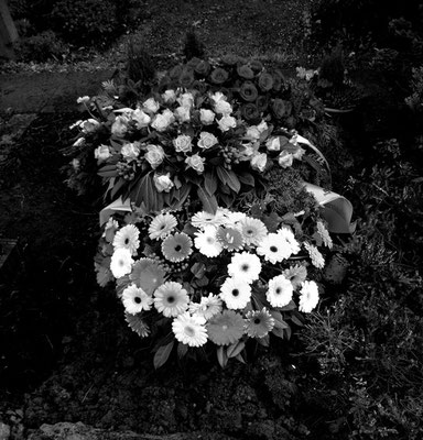 Michael Koch: Tombe, 2014, C-Print, Diasec