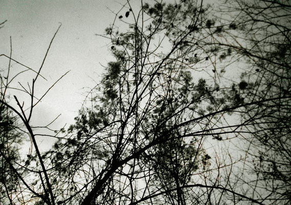 Michael Koch:  Aide, 2014, C-Print, Diasec