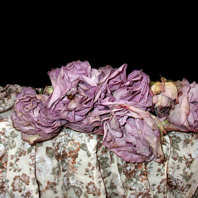 Michael Koch: Vanity, 2014, C-Print, Diase