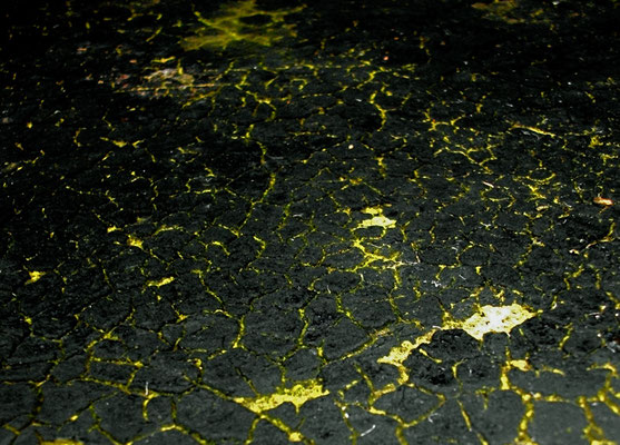 Michael Koch: Skinn, 2012, C-Print, Diasec