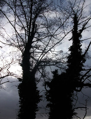 Michael Koch: Schrollik, 2015, C-Print, Diasec