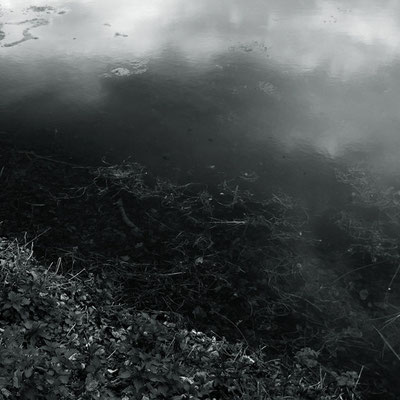 Michael Koch: Dyck I, 2014, C-Print , Diasec