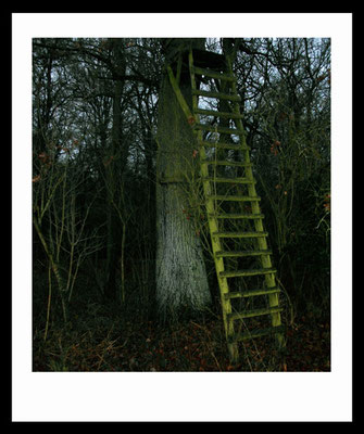 Michael Koch: Pulpito (Pirsch), 2013, C-Print, framed