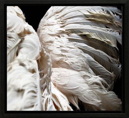 Michael Koch: Exil, 2010, C-Print, Diasec, gerahmt/Schattenfuge, from: arena