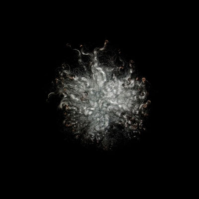 Michael Koch: Aldur, 2014, C-Print, Diasec