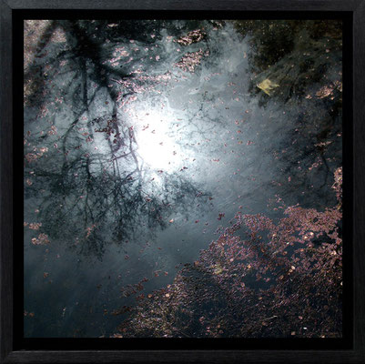 Michael Koch: Spegla, 2011, C-Print, Diasec, gerahmt/Schattenfuge, from: Elysion