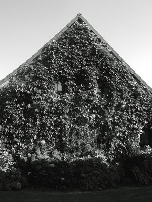 Michael Koch: Steinhausen, 2014, C-Print 