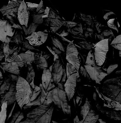 Michael Koch: Mimesis, 2015, Inkjet-Print