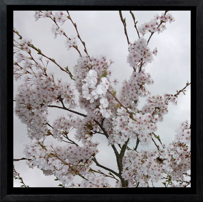 Michael Koch: Bürde, 2011, C-Print, Diasec, gerahmt/Schattenfuge, from: Elysion