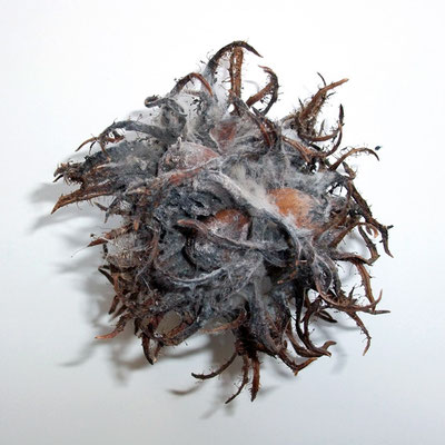 Michael Koch: Hyphe, 2011, C-Print, Diasec, from: Elysion