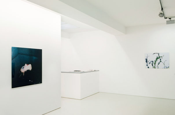 forever more, 2009, solo exhibition, Galerie Voss, Düsseldorf