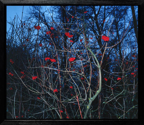Michael Koch: Avebury, 2003, C-Print, Diasec, gerahmt/Schattenfuge