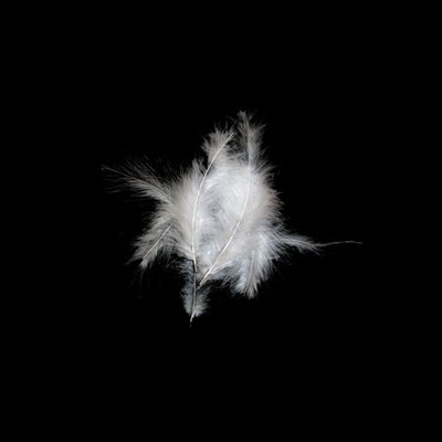 Michael Koch: Nagwaagan, 2013, C-Print, Diasec