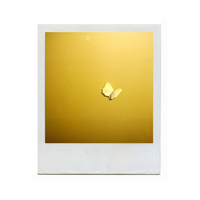 Michael Koch: butterfly (yellow), 2015, Polaroid