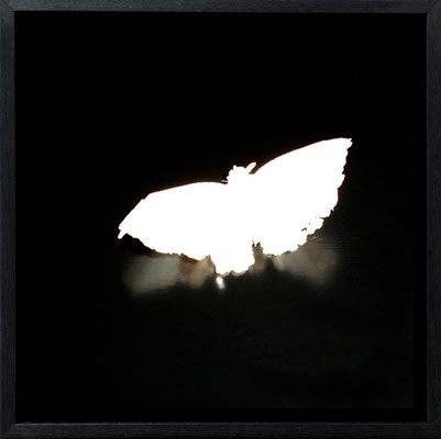 Michael Koch: Krystle, 2011, C-Print, Diasec, gerahmt/Schattenfuge, from: Elysion