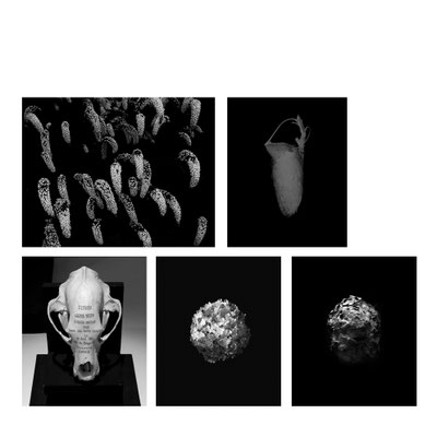 Michael Koch: tableau 3, C-Prints, Diasec